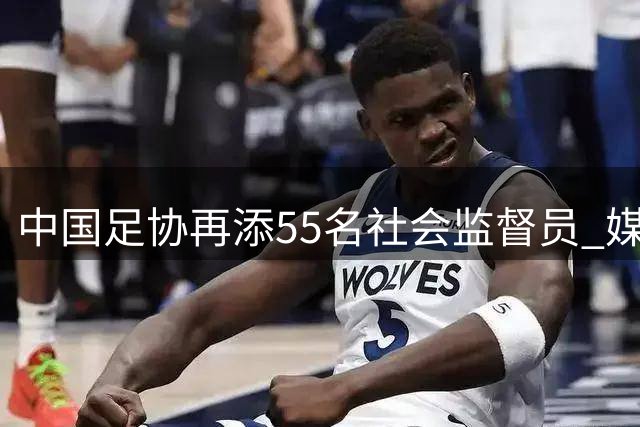 中国足协再添55名社会监督员 媒体与球迷代表占比超六成