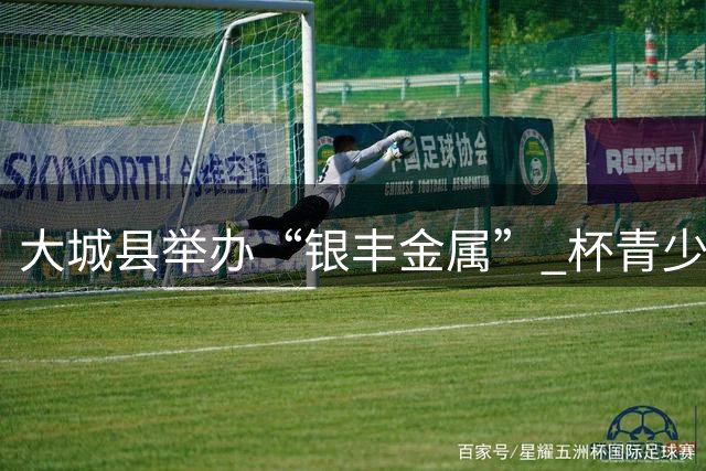 大城县举办“银丰金属” 杯青少年足球大会